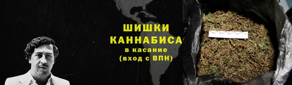 гидра Алексин