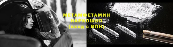 гидра Алексин