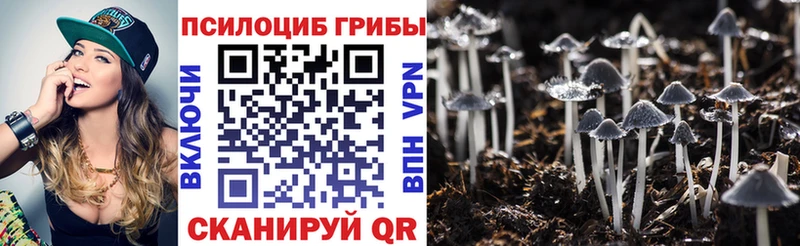 Галлюциногенные грибы Psilocybe  Тайшет 